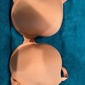 Cleo push up bra